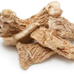 Dried-Jinger